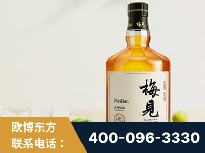 涿州-梅见青梅酒